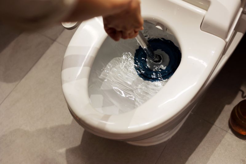 Toilet Plunging detail