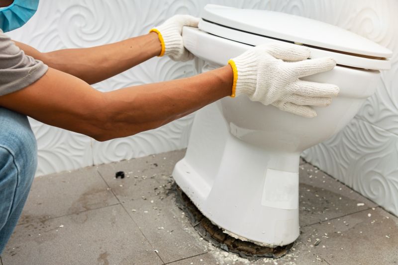 Toilet Plunging detail