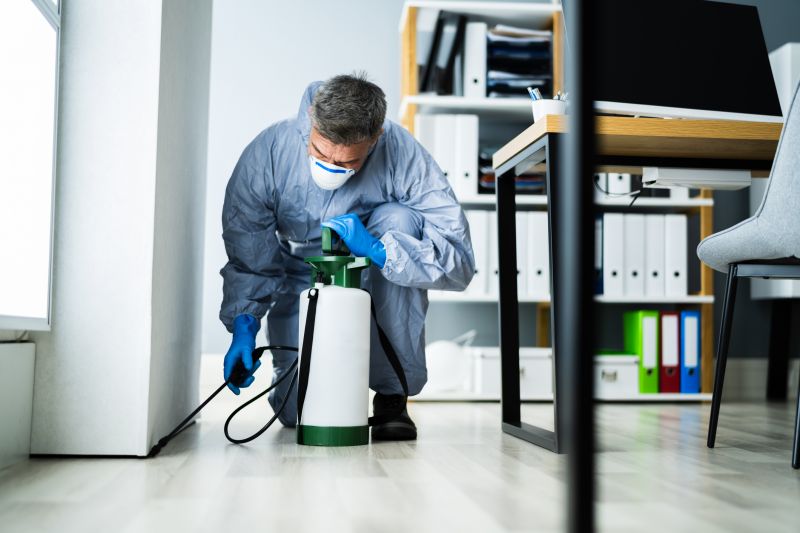Pest Control Service