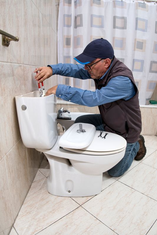 Toilet Plunging
